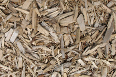 biomass boilers Corgee